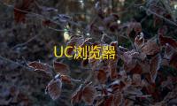 UC浏览器